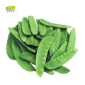 Hot Sale Wholesale Names Of Green Frozen Vegetable Green Pea Pods